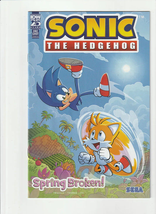 Sonic The Hedgehog Spring Broken #1 Variante 1:10