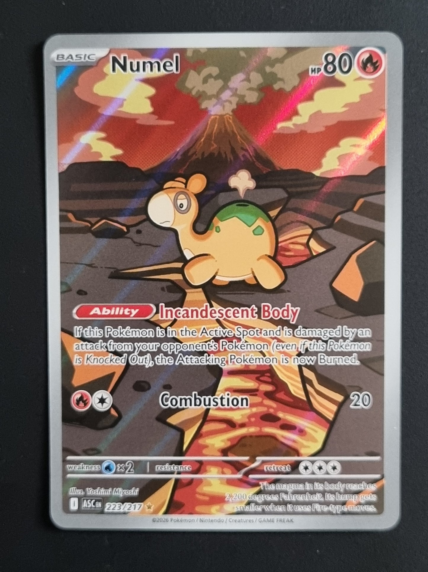 Tarjeta Pokemon TCG Ascended Heroes Numel IR 223/217