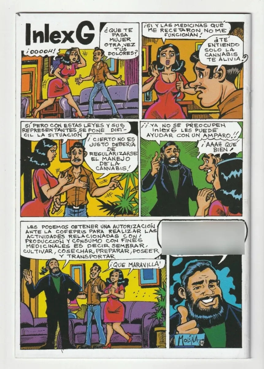 Mota #8 Revista Mexicana Muy Rara Solo 5000 Copias